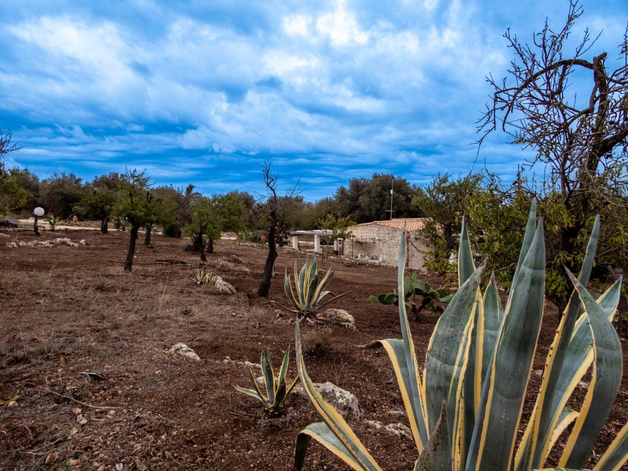 Casa Bedda Βίλα Lido di Noto Εξωτερικό φωτογραφία